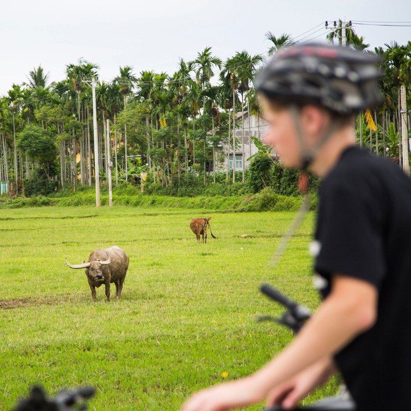 Half-Day Hanoi E-Bike Tour: Exploring Ancient Co Loa Citadel